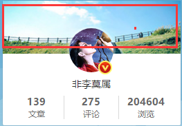  The preferred microblog show template for personal theme website building, imitating the 15th page of Sina Weibo official website